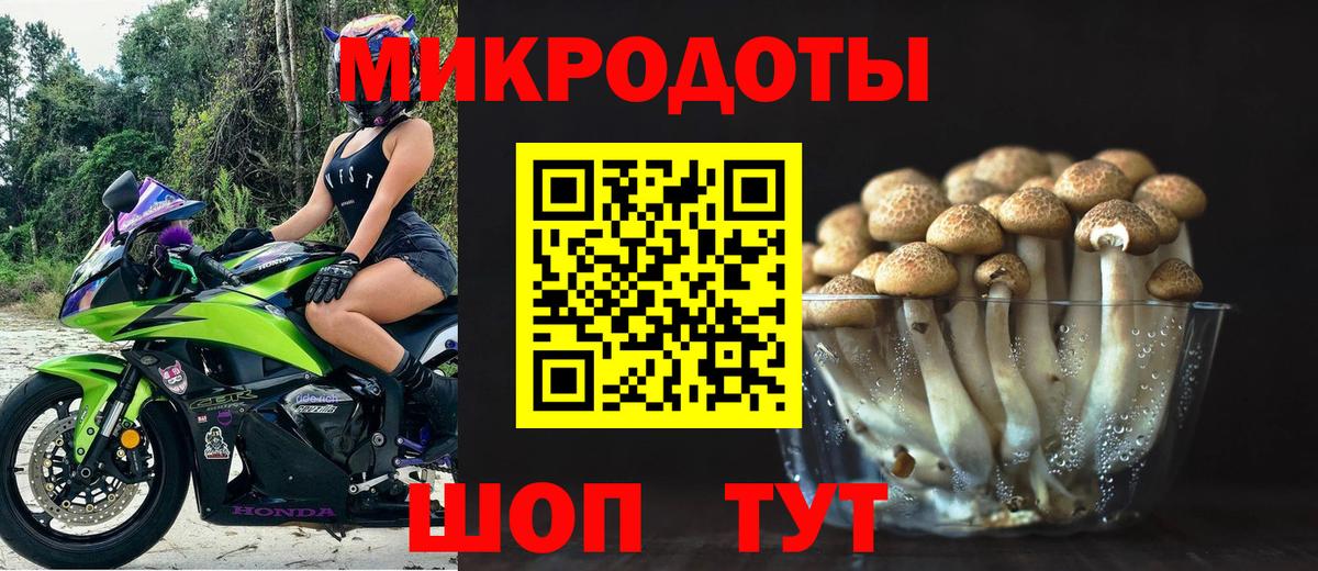 Псилоцибиновые грибы Psilocybe  Вход с VPN  Соль-Илецк  Псилоцибиновые грибы Psilocybe 